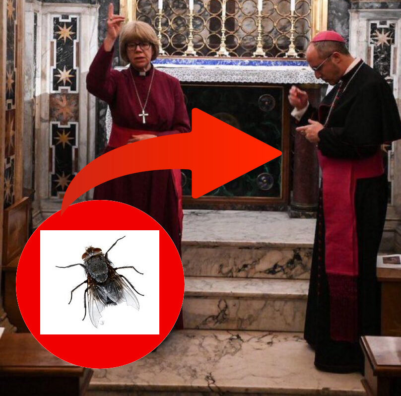 Bishop Feeling Really Dumb For Swatting Fly During Anglican Blessing