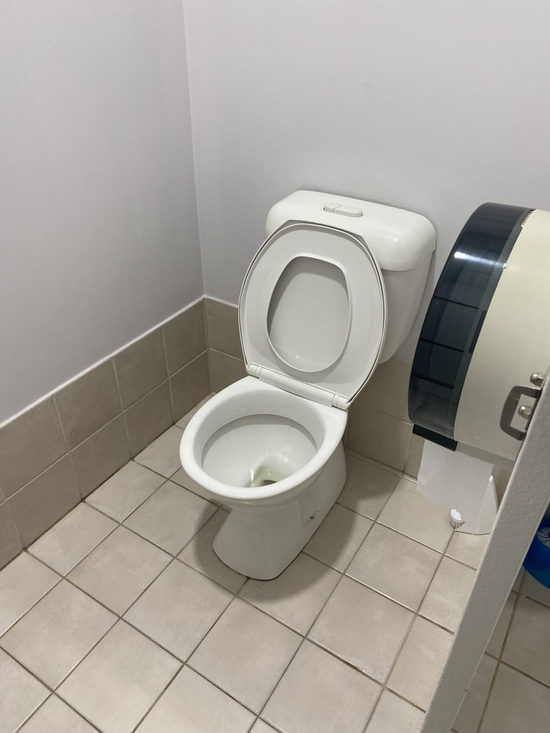 Summorum Pontificum Pilgrims Barred From Using Vatican Bathrooms